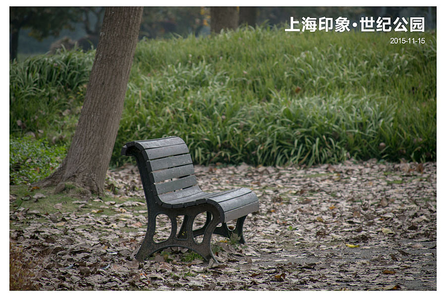 上海印象（图ZNjU2NTkzNDQ=） - 风光摄影 - 站酷设计师郭良原创素材 - 站酷ZCOOL