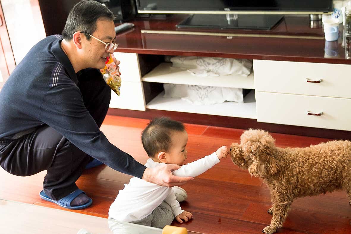 【9:45】把狗狗追的满屋跑,从它嘴里抢吃的是翌腾最喜欢干的事。可是,镜头前誓做乖宝宝,瞧!翌腾正拿着他的豆豆喂欢欢呢。