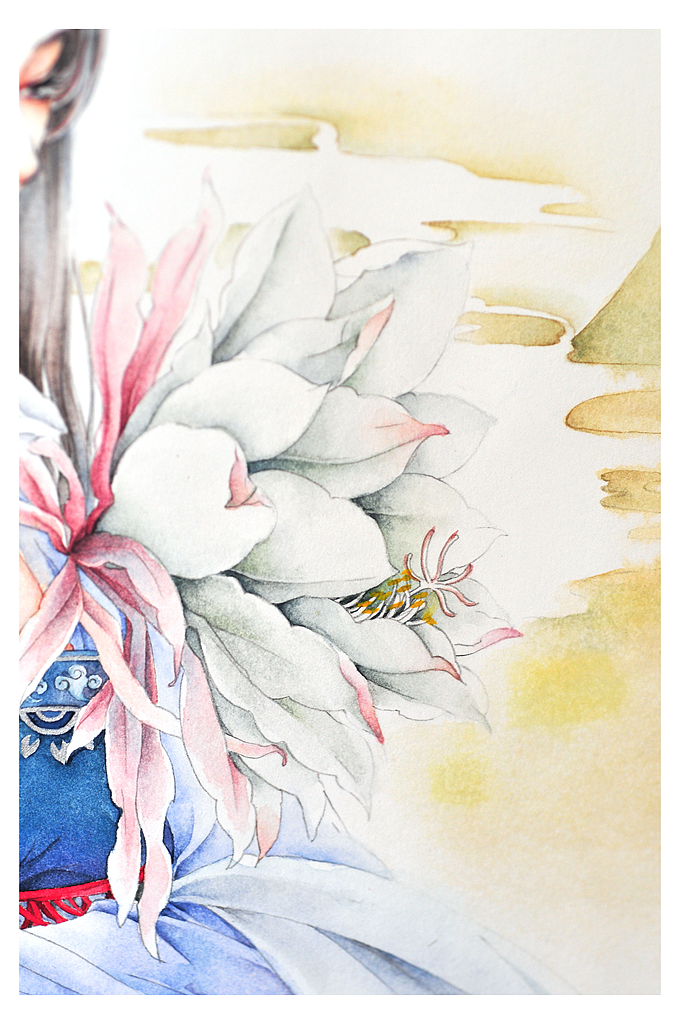 昙花一现,只为韦陀