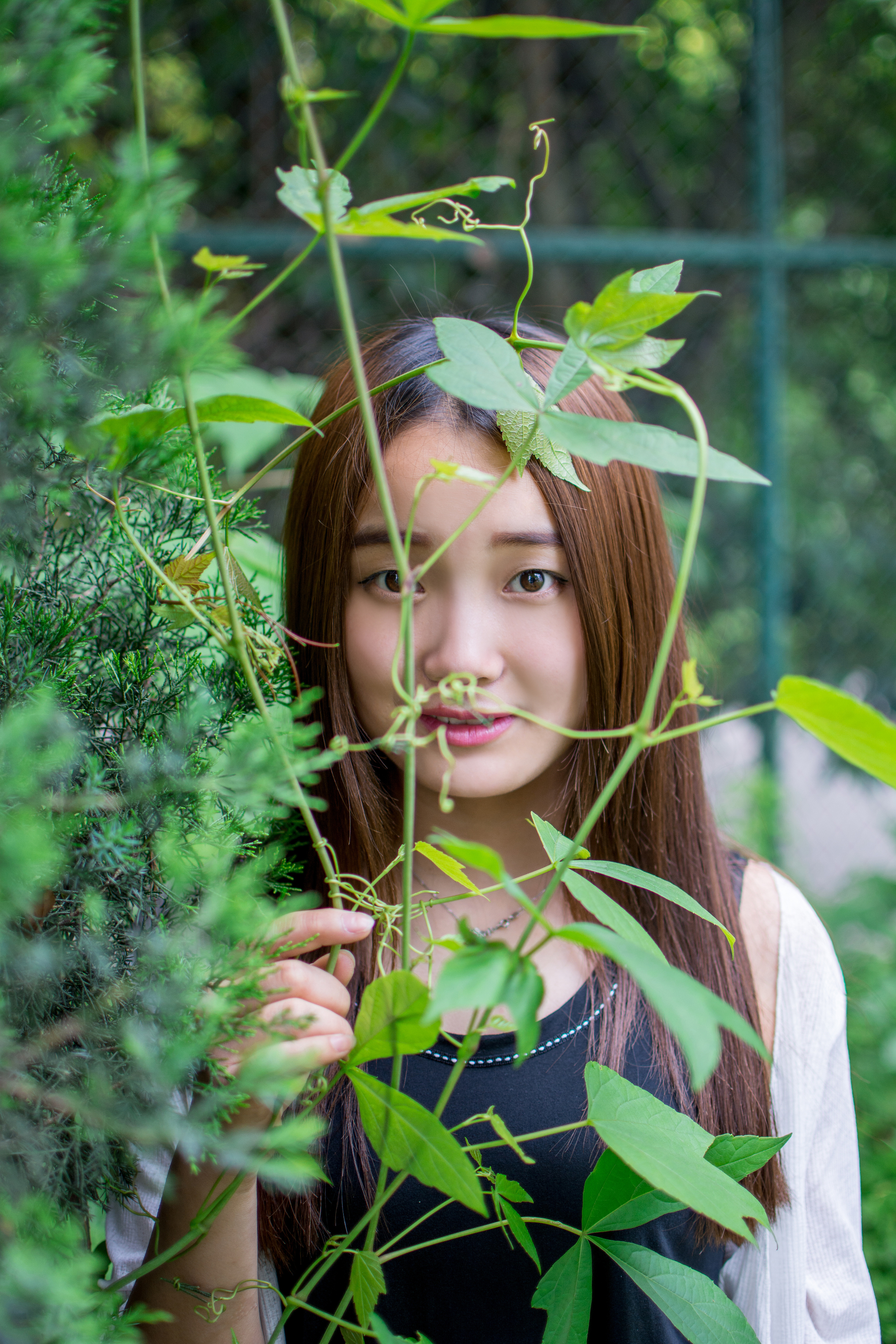 校园小清新