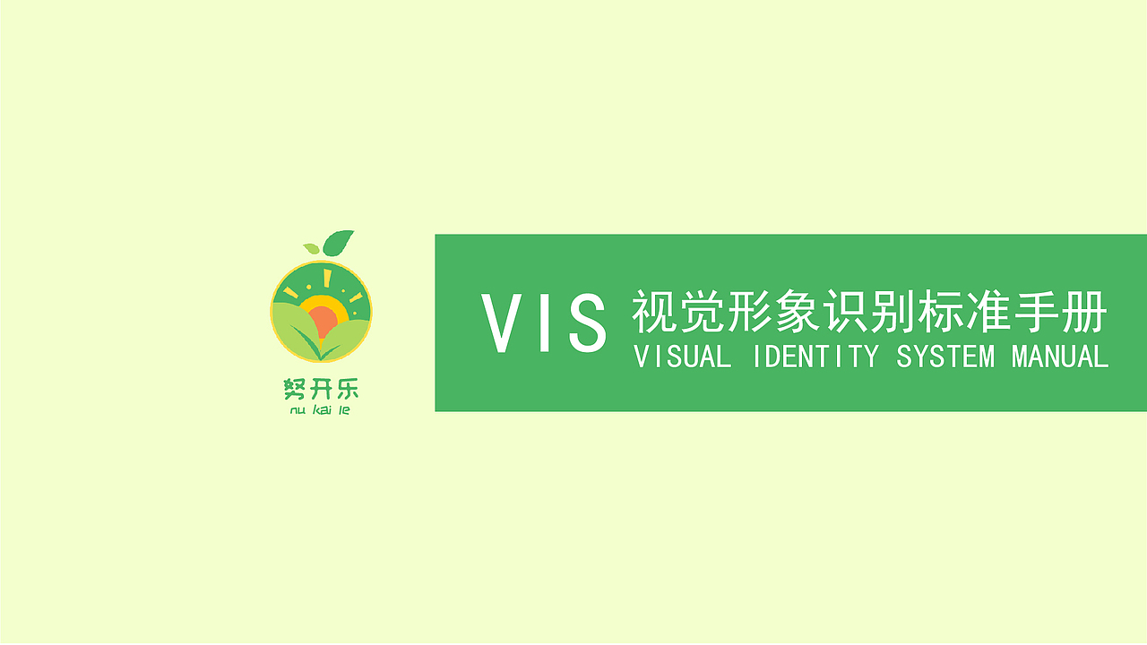 新疆特产干果包装