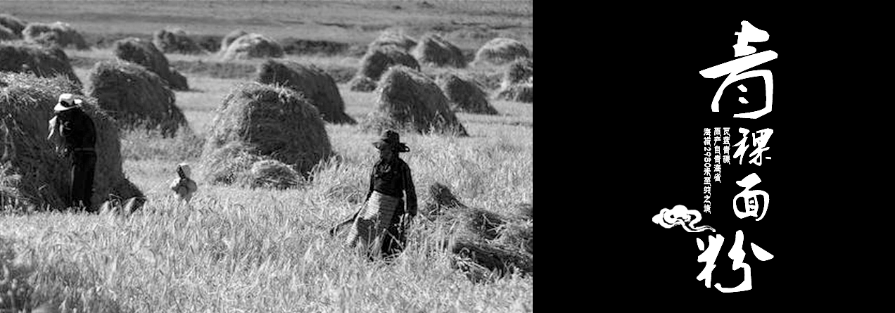 青稞面粉包装（图ZMTU5MTUyOTA4） - 包装 - 站酷设计师leeway075011原创素材 - 站酷ZCOOL