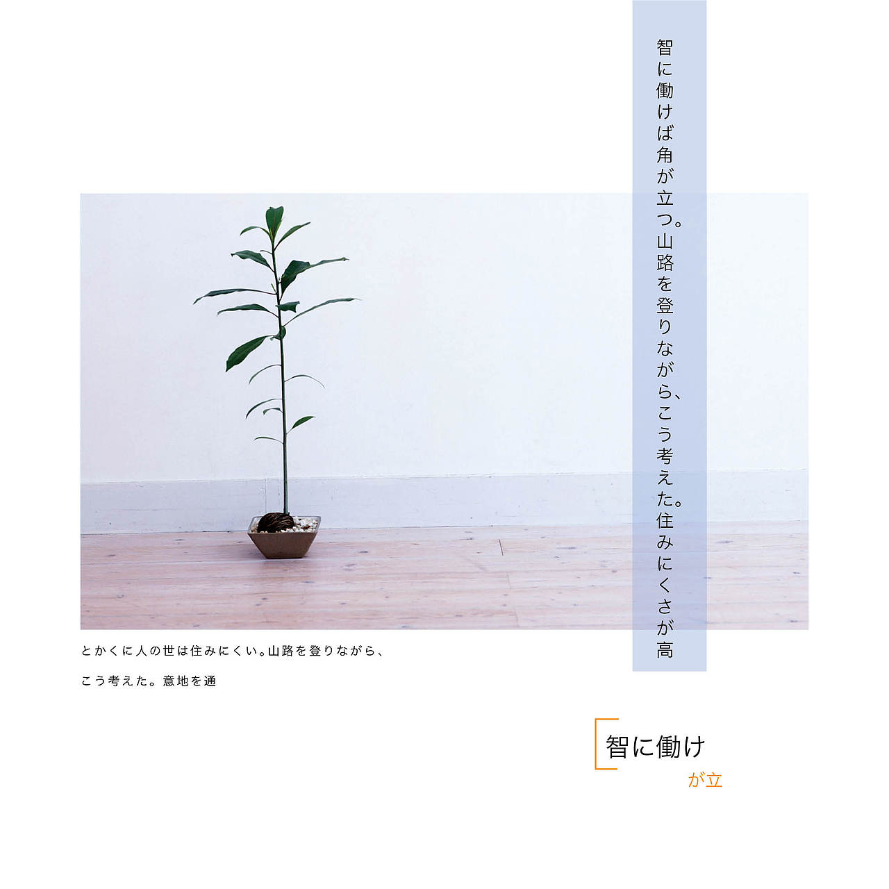 无印良品家居画册设计