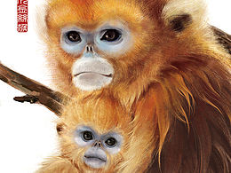 《我們誕生在中國》海報(bào)征集參賽海報(bào)