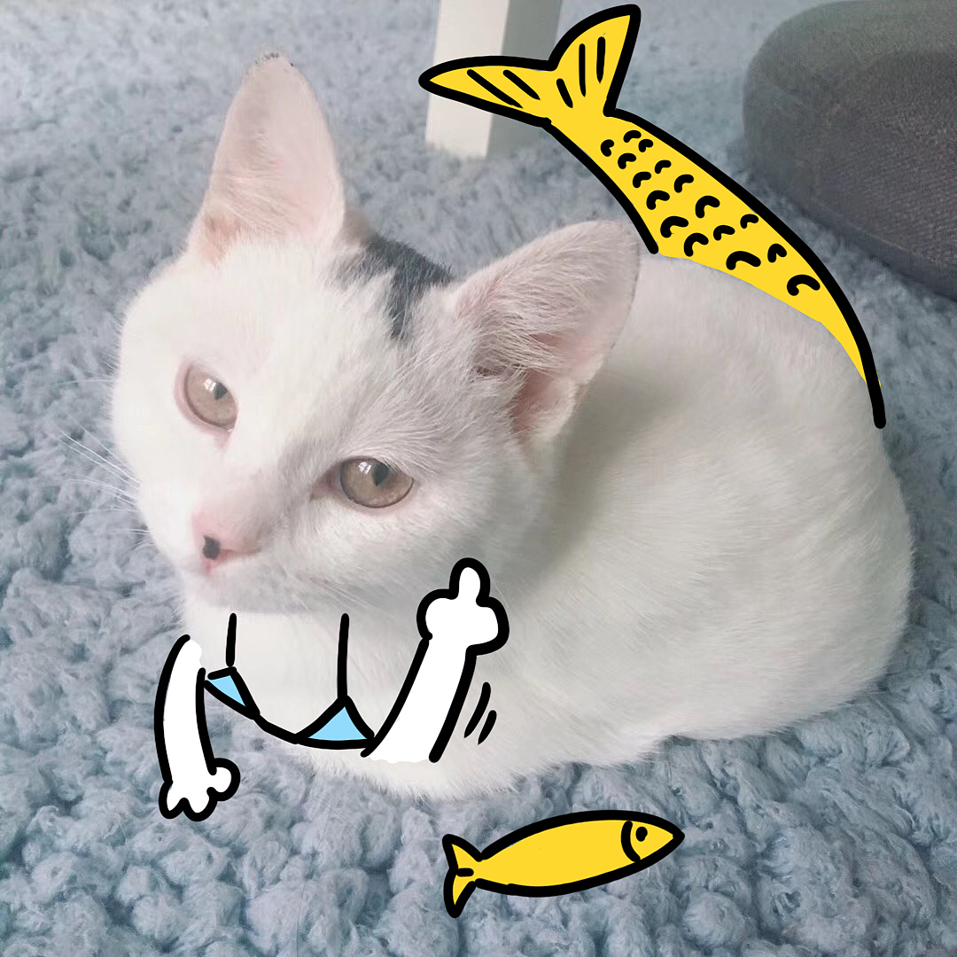 画猫——俺叫肉肉（图ZMTU2NjkzNDQ4） - 创作习作 - 站酷设计师自动喵喵机原创素材 - 站酷ZCOOL