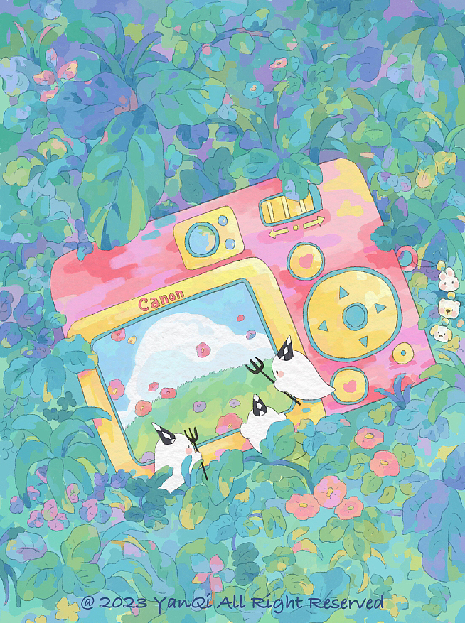 草丛里被丢弃的相机储存着一场花雨