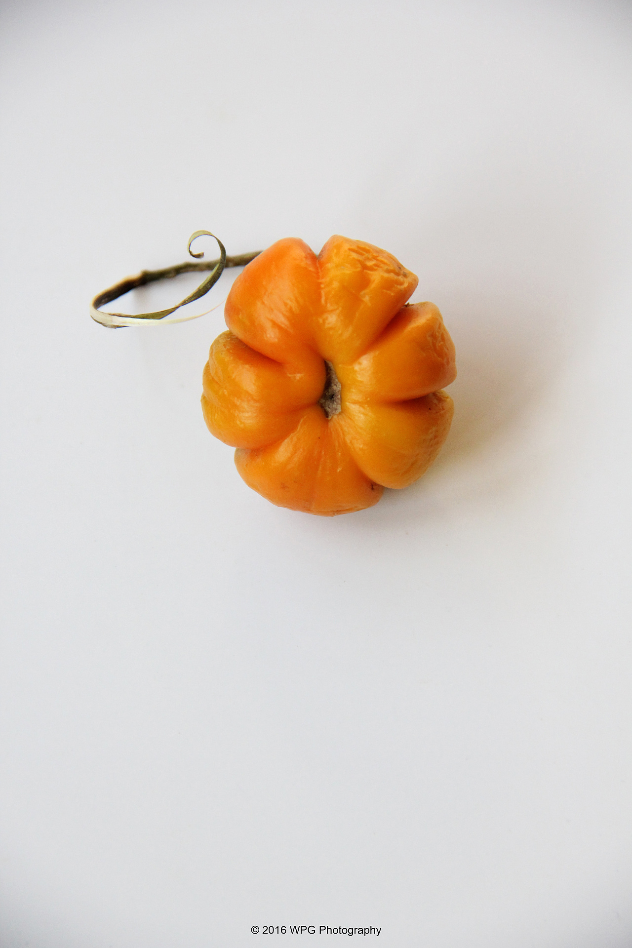 《 茄子南瓜心 》