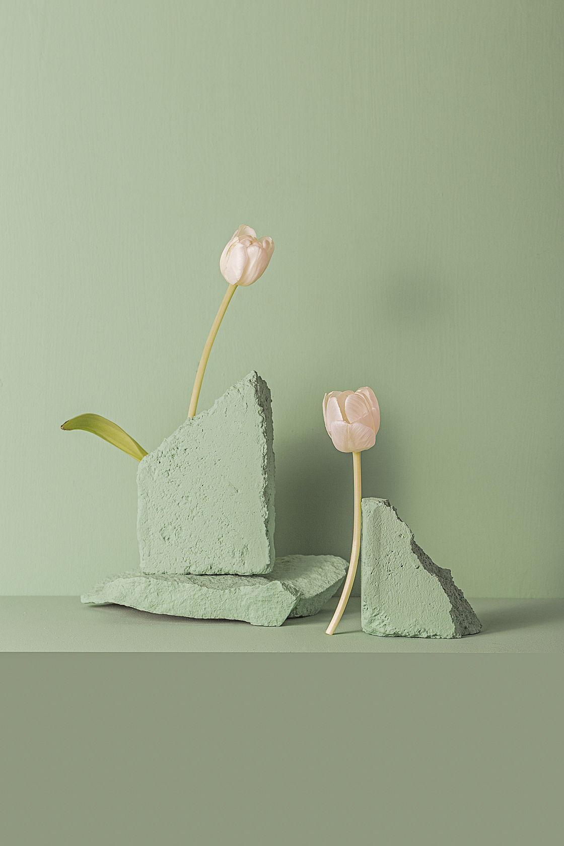 绿/花（图ZMTgzMTc4ODIw） - 产品摄影 - 站酷设计师刘佩相_koto原创素材 - 站酷ZCOOL