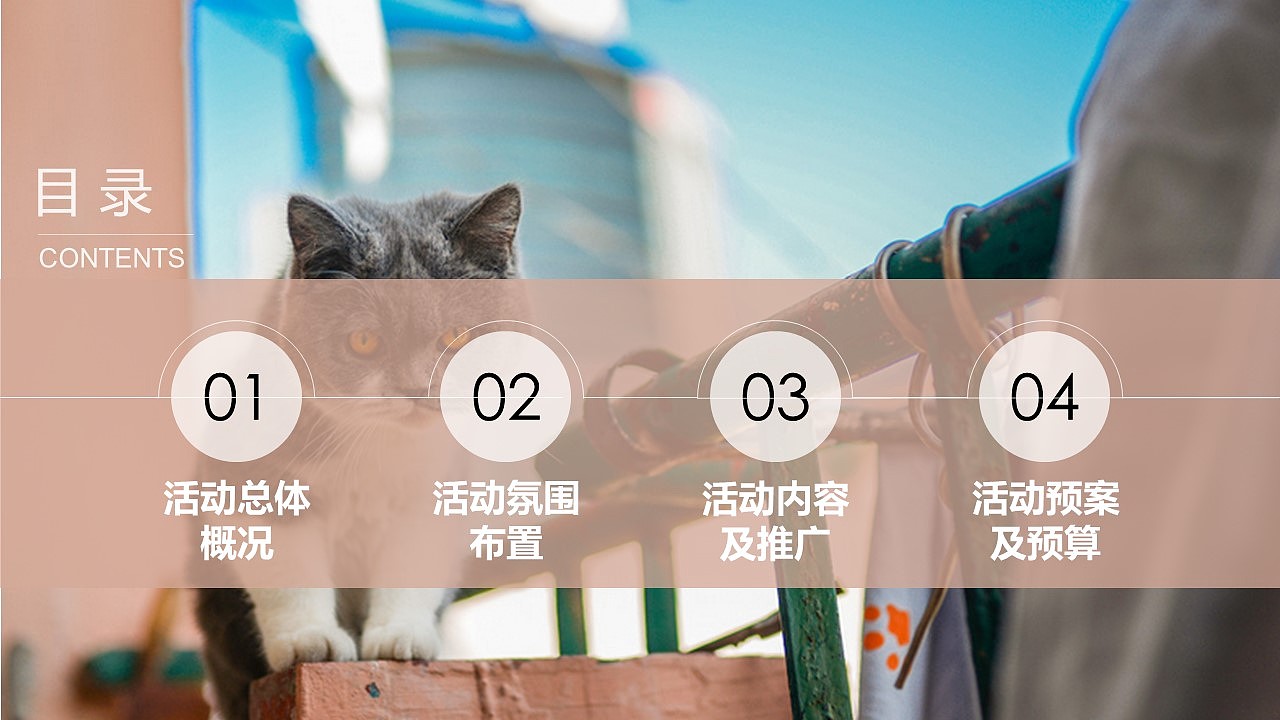 苏宁宠物相亲节（图ZMjg2OTQ5ODk2） - 其他 - 站酷设计师策划米饭原创素材 - 站酷ZCOOL