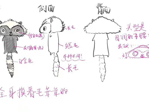 浣熊手工制作，来图定制