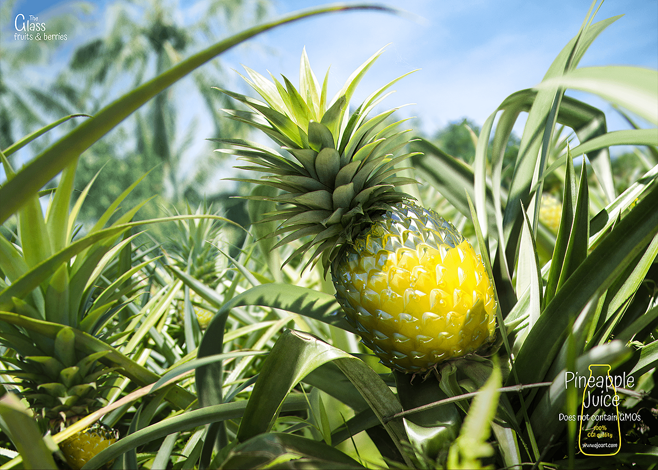 The Glass fruits & berries（图ZMTQ5NTcwMTcy） - 其他三维 - 站酷设计师xSHD原创素材 - 站酷ZCOOL