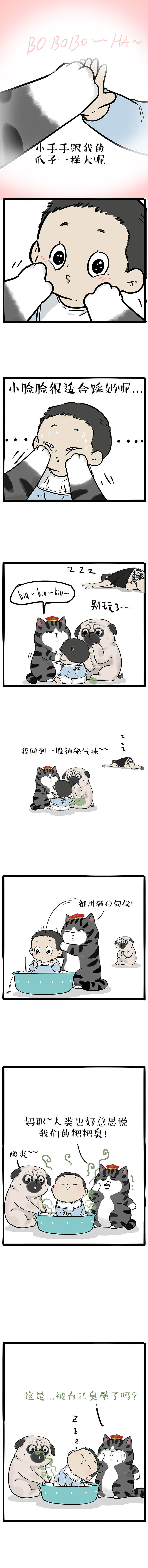 猫成育儿专家，保姆狗狗无证上岗，请看本期猫点访谈（图ZMTkyOTQ3MDI4） - 中/长篇漫画 - 站酷设计师吾皇的白茶原创素材 - 站酷ZCOOL