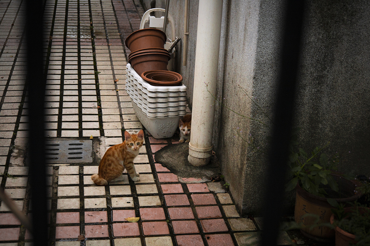 傍晚,城市角落|摄影|环境/建筑摄影|z857189810 - 原创作品 - 站酷