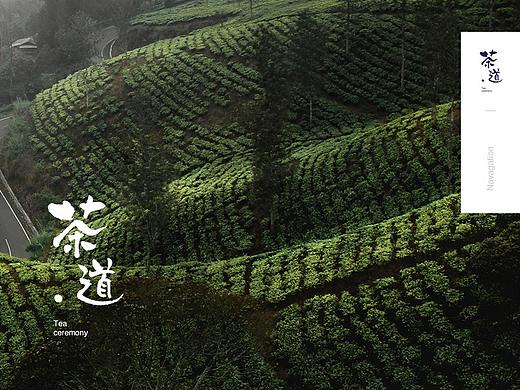 茶道官网视觉