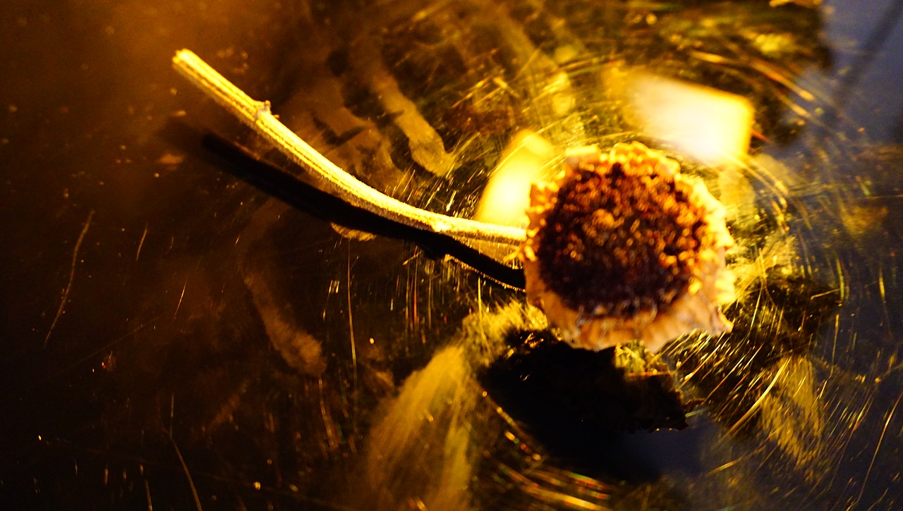 讓夢(mèng)想照亮現(xiàn)實(shí)（圖ZNjc2MDAyOTY=） - 修圖/后期 - 站酷設(shè)計(jì)師等到晴天再愛你原創(chuàng)素材 - 站酷ZCOOL