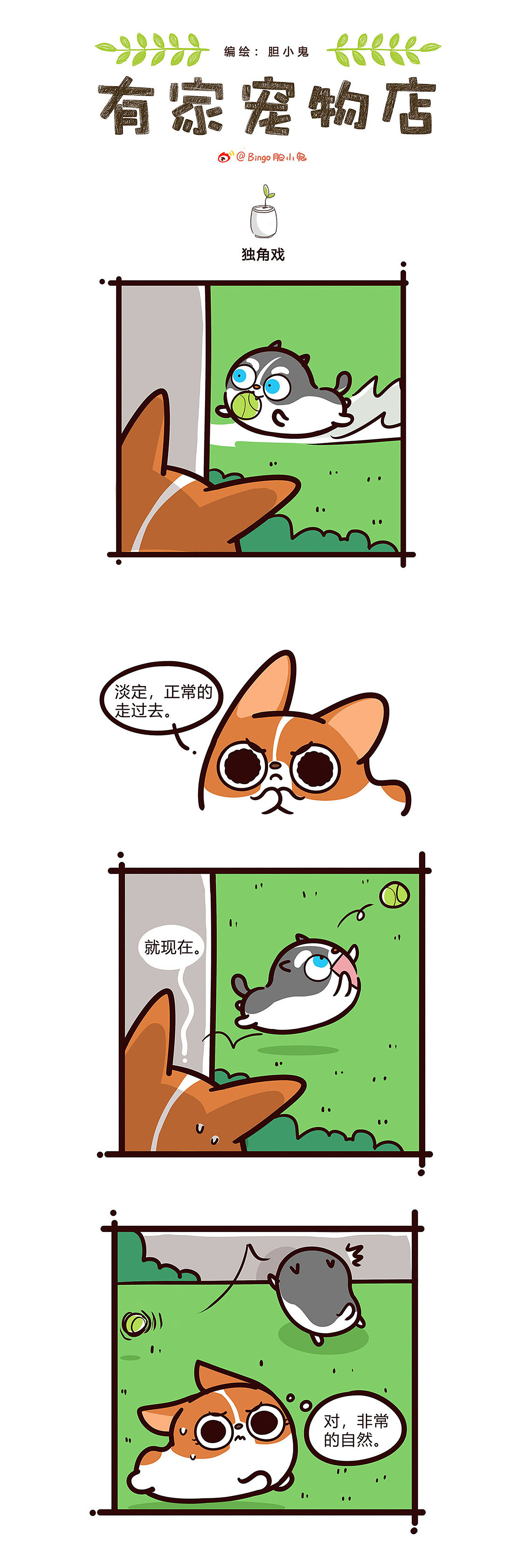 暗恋是让人上瘾的疼痛——《有家宠物店》