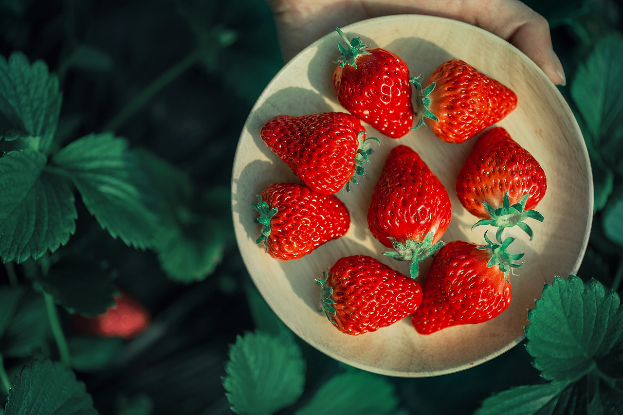 空心草莓是打了激素？“个大”的草莓是因为打了药？解答来了_澎湃号·政务_澎湃新闻-The Paper