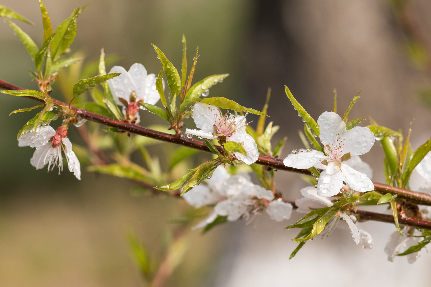 攝影師祁軻的個(gè)人主頁(yè)（封面預(yù)覽） - 主頁(yè)封面設(shè)置 - 站酷設(shè)計(jì)師攝影師祁軻原創(chuàng)素材 - 站酷ZCOOL