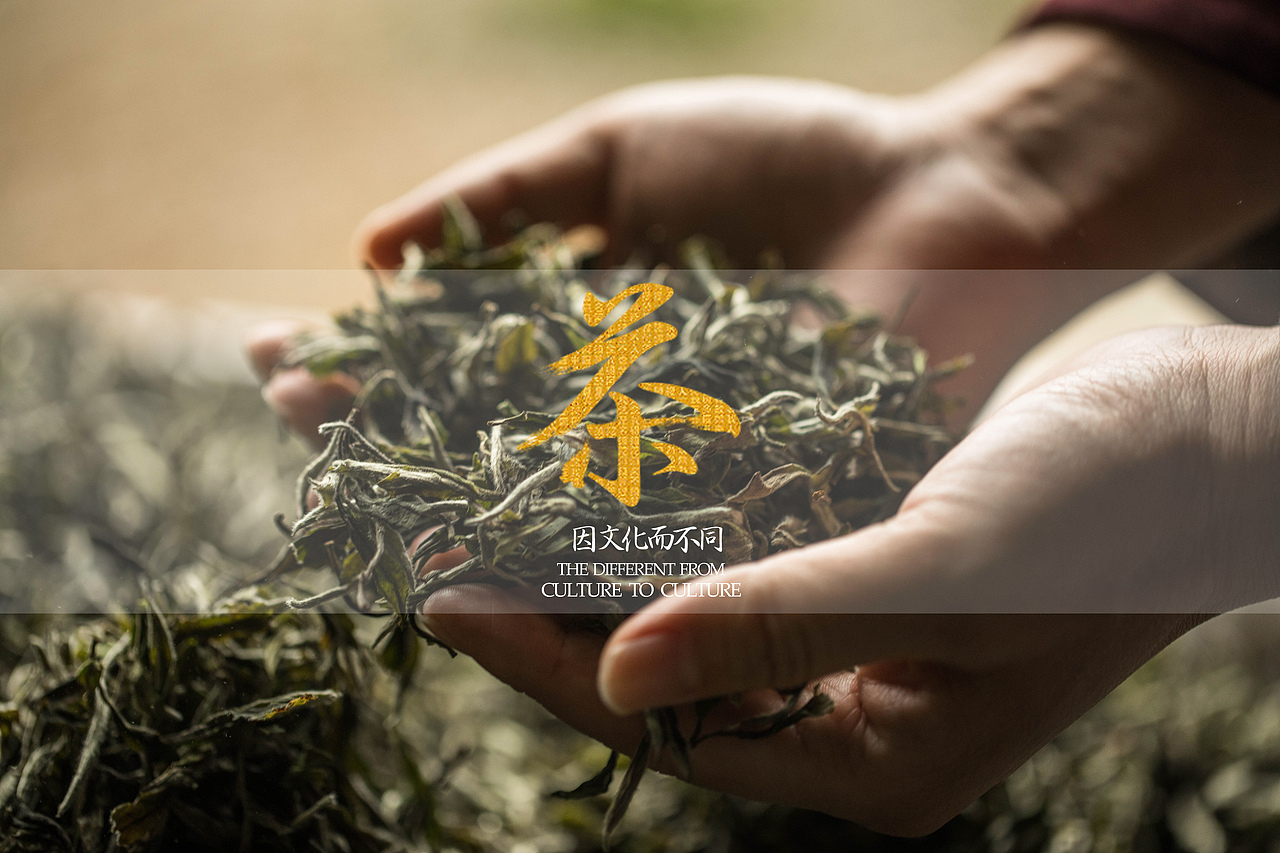 包装（图ZMTk3ODMzNTQw） - 包装 - 站酷设计师猫猫怪520原创素材 - 站酷ZCOOL