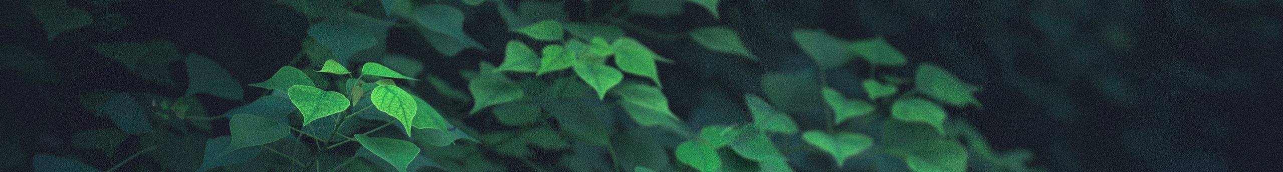 一Kim的个人主页（封面预览） - 主页封面设置 - 站酷设计师一Kim原创素材 - 站酷ZCOOL