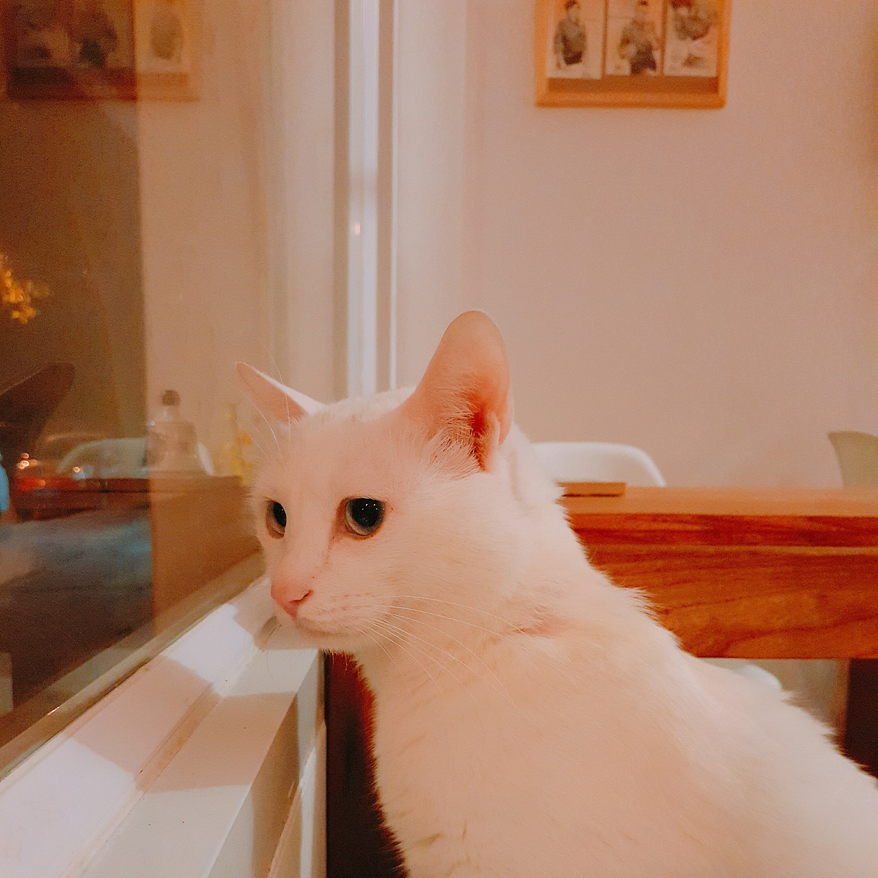 手機(jī)·隨機(jī)·1（圖ZNzUzNDQwMjA=） - 產(chǎn)品攝影 - 站酷設(shè)計(jì)師豆花草粿原創(chuàng)素材 - 站酷ZCOOL