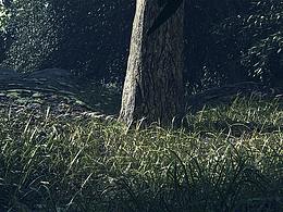 C4D