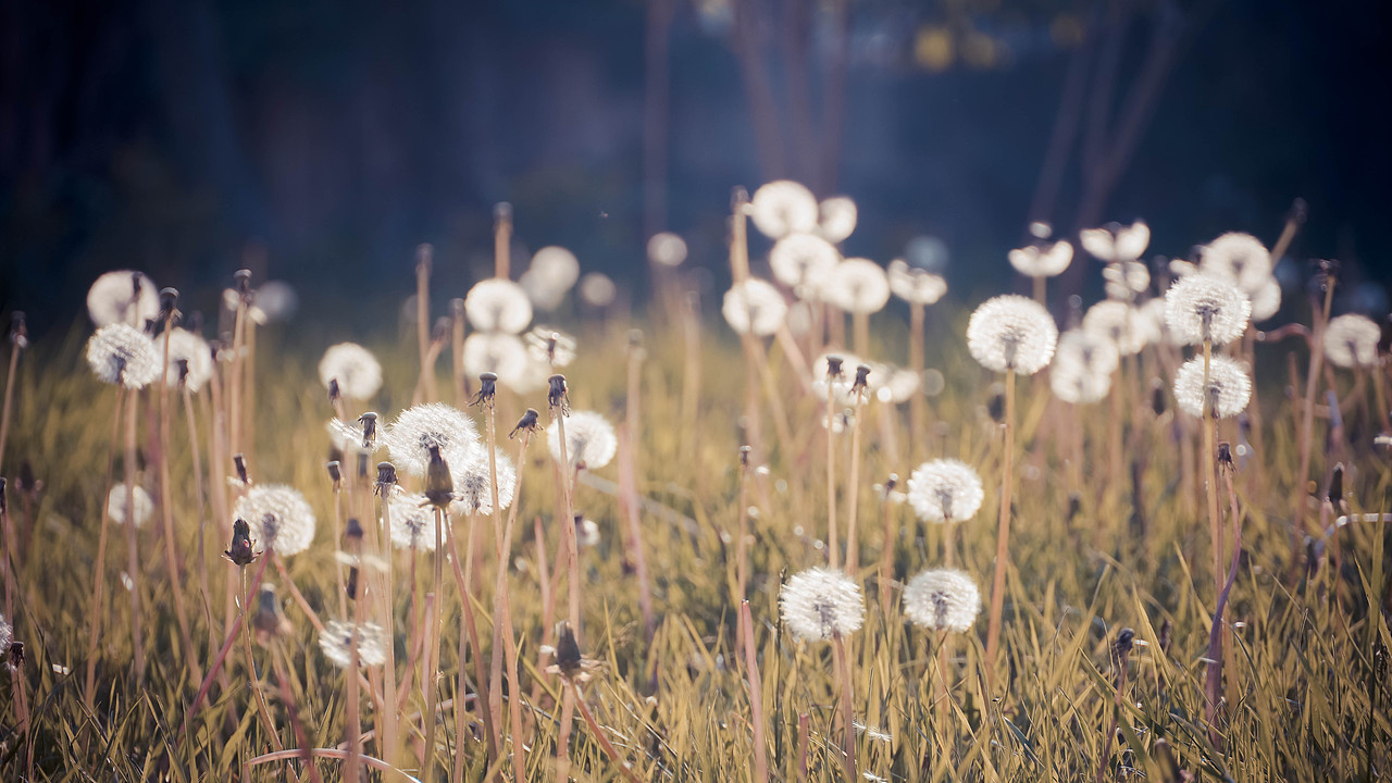 街拍|雨后小城（图ZMjA1NzM4NjA4） - 人文/纪实摄影 - 站酷设计师wasabi安安安琪原创素材 - 站酷ZCOOL