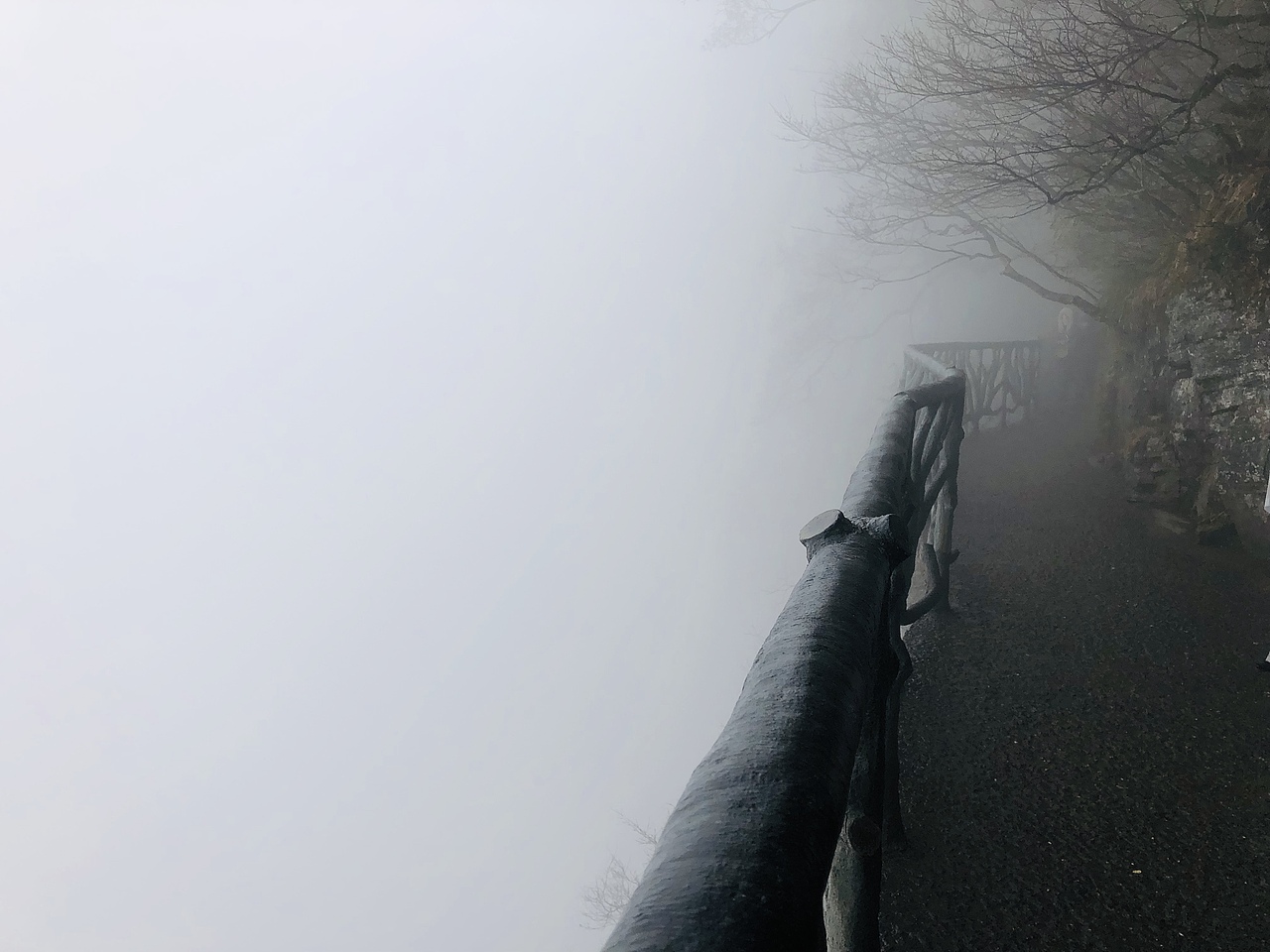 带上爸妈去旅行--张家界