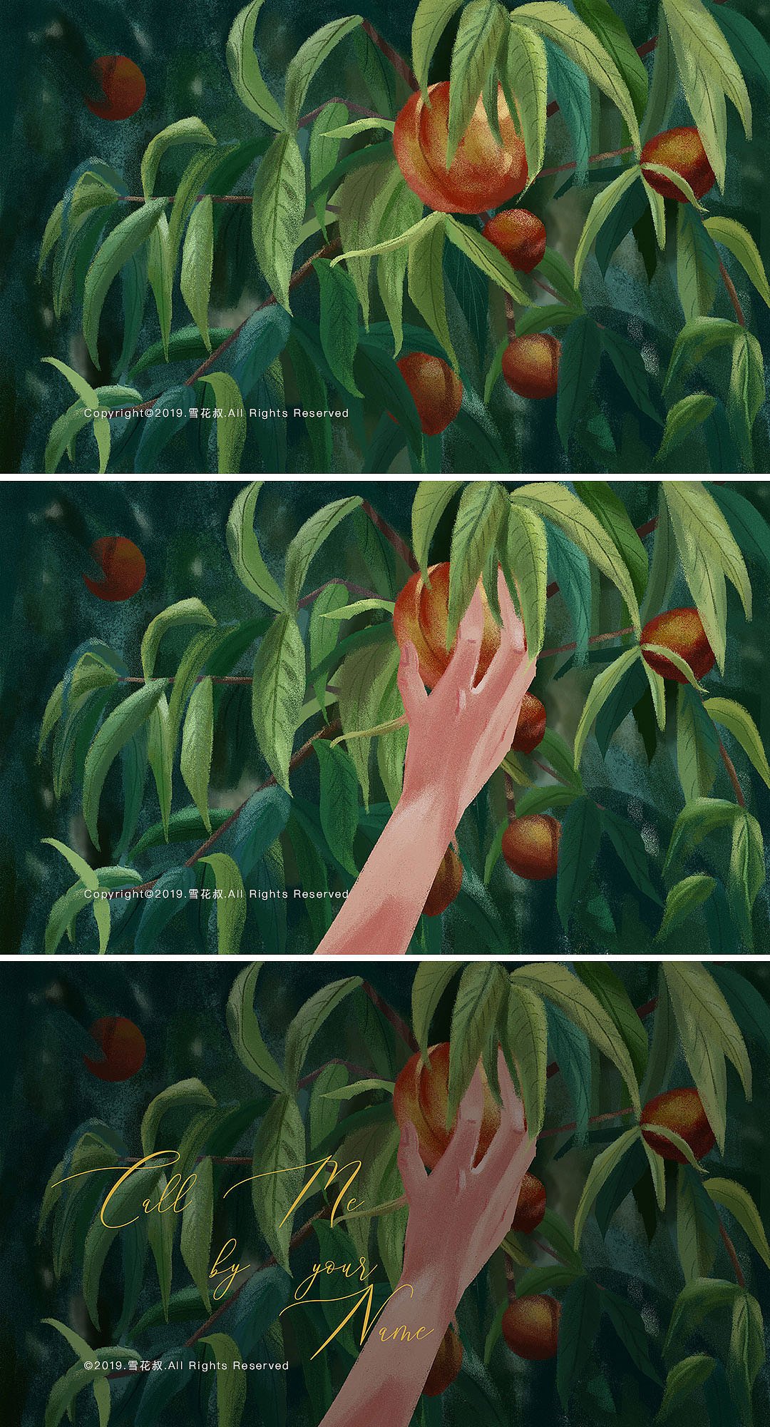 365日绘（019/365）—— Call Me By Your Name（图ZMTY0NjE0Mjcy） - 创作习作 - 站酷设计师雪花叔原创素材 - 站酷ZCOOL