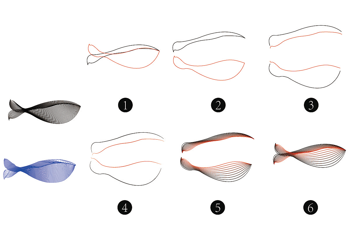 混合工具 线形动物