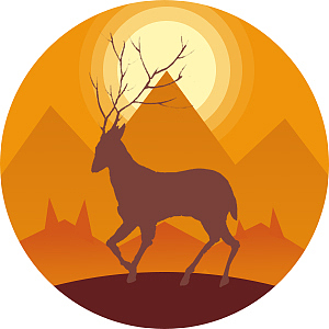 日常临摹乱七八糟～（图ZNjcyNzMwOTY=） - 其他 - 站酷设计师张铁揍原创素材 - 站酷ZCOOL