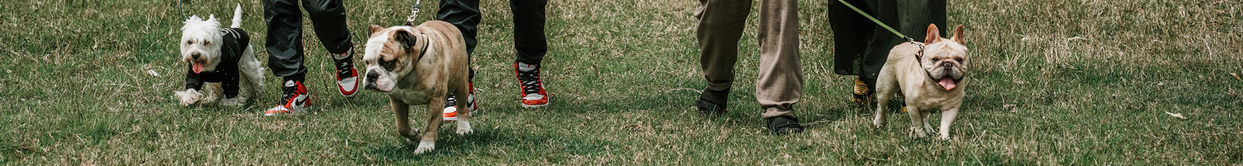 HJPET的个人主页（封面预览） - 主页封面设置 - 站酷设计师HJPET原创素材 - 站酷ZCOOL