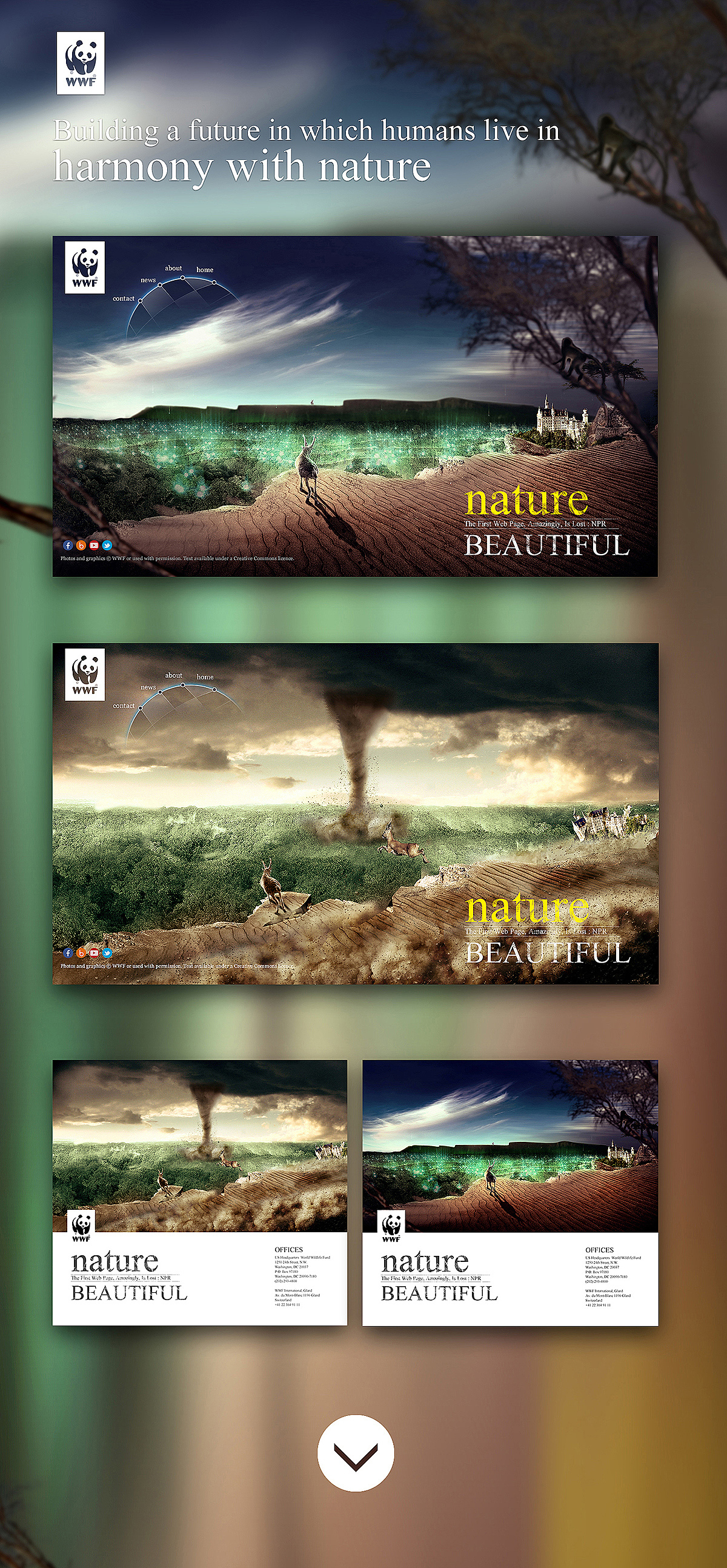 web design（图ZMjg4MjA2OTY=） - 运营设计 - 站酷设计师jimz_wu原创素材 - 站酷ZCOOL