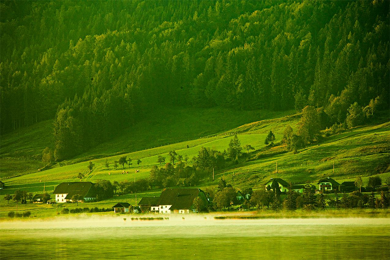 豌豆人,毛绒文字,纹身,修通透,花