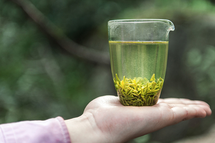 春茶包装设计：九亩茶舍青饮&雾毫（图ZNDg3MzAwNDQ=） - 包装 - 站酷设计师canaanvision原创素材 - 站酷ZCOOL