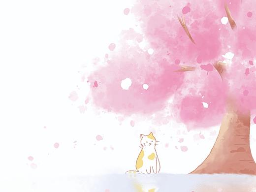 本册 | 樱花猫
