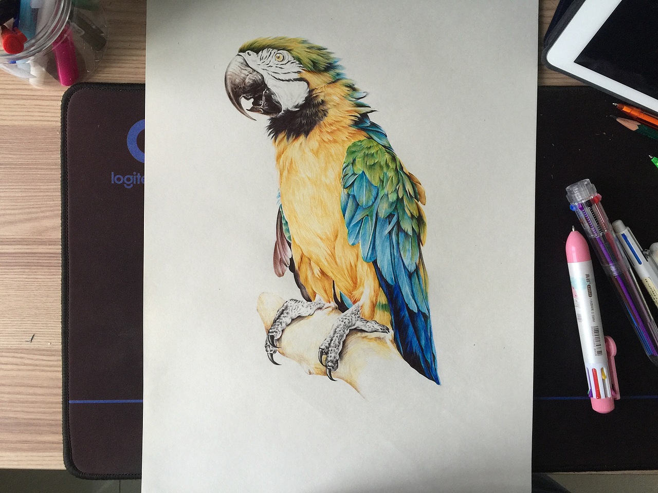 【圆珠笔画】金刚鹦鹉（图ZMTE4NDM2MjI0） - 绘画 - 站酷设计师粉红豹的蔑视原创素材 - 站酷ZCOOL