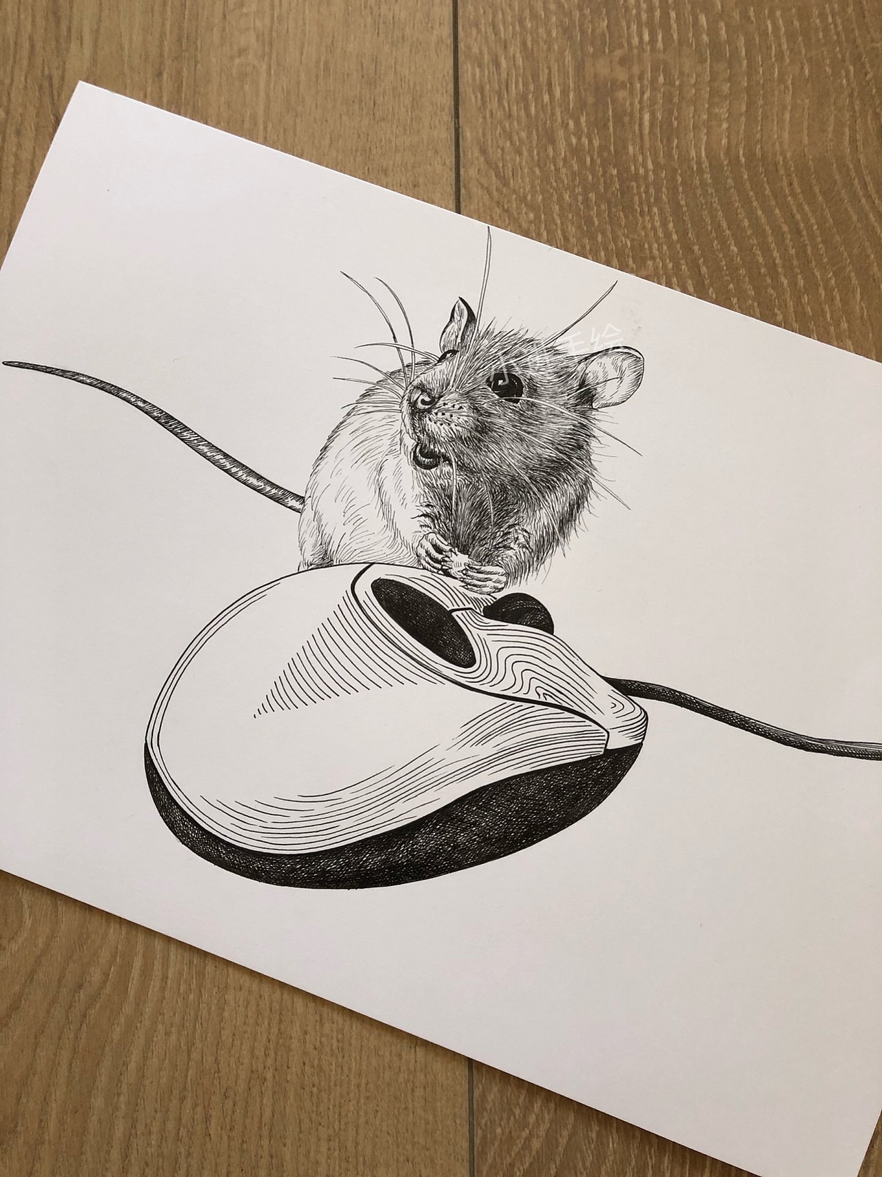 最近画的一组针管笔画（图ZMjA5NzE4NTk2） - 绘画 - 站酷设计师地主家也没有余粮原创素材 - 站酷ZCOOL