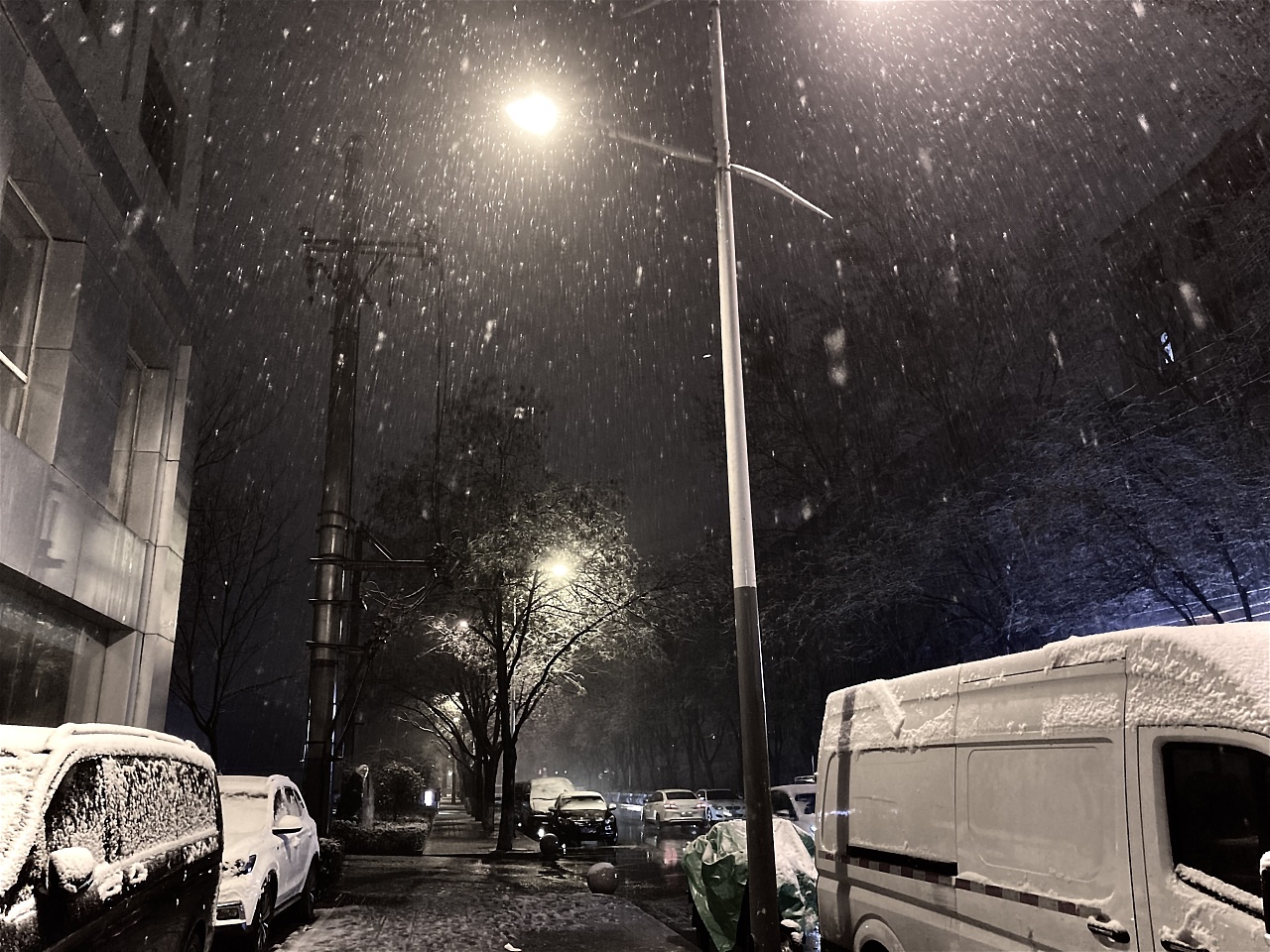 夜晚下雪即化的图片图片