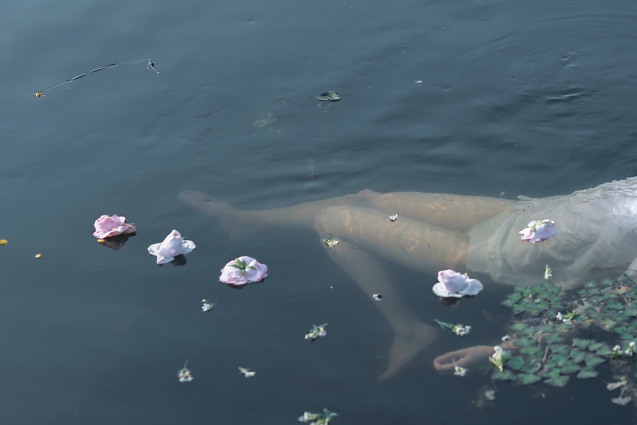 趁着夏天还没结束