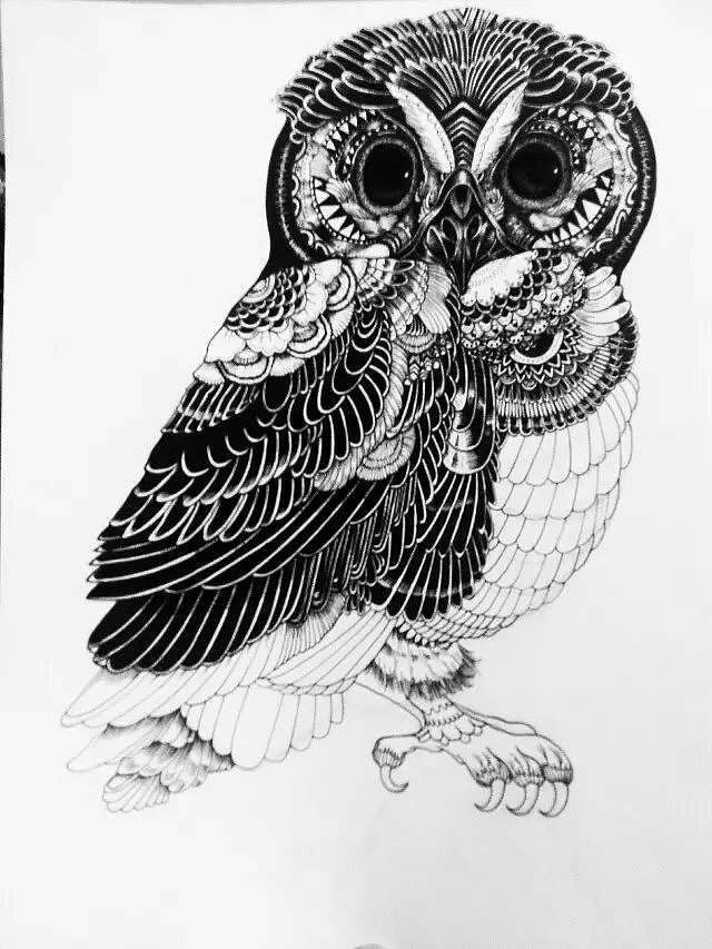 针管笔 黑白 手绘动物 第二弹