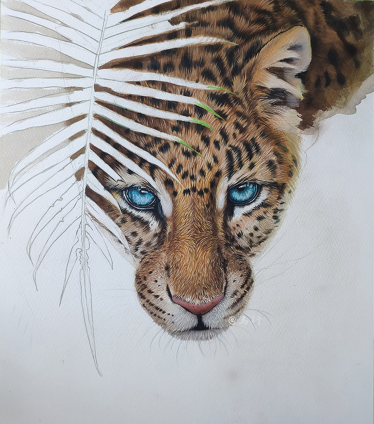 举报19分享原创作品纯艺术绘画马行画彩铅插画1星空,长城67马行画彩铅