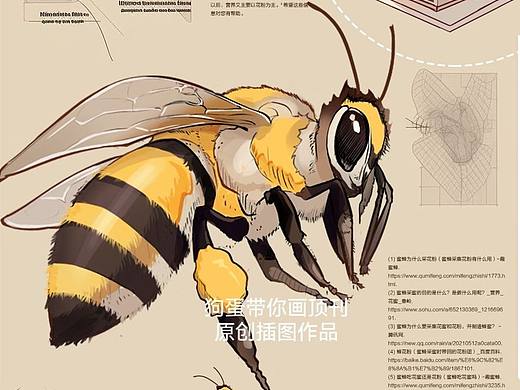 科研绘图/论文插图/医学插画/机制图