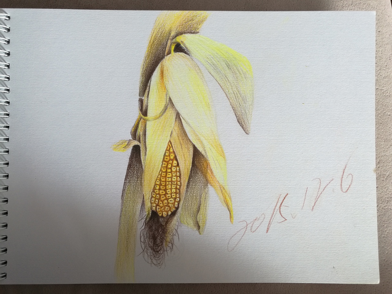 玉米图片简笔画 玉米怎么画教程-蔬菜简笔画-欣欣简笔画