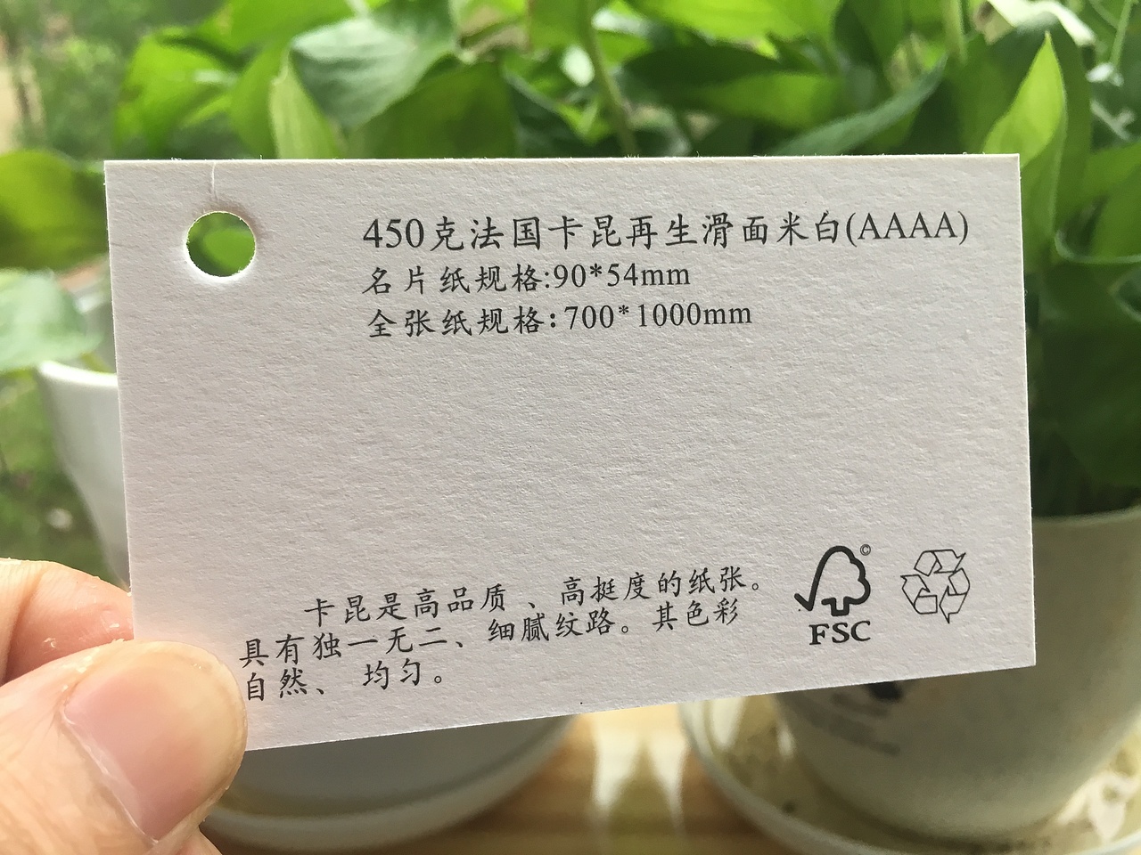 2019款特种纸艺术纸实物展示样册