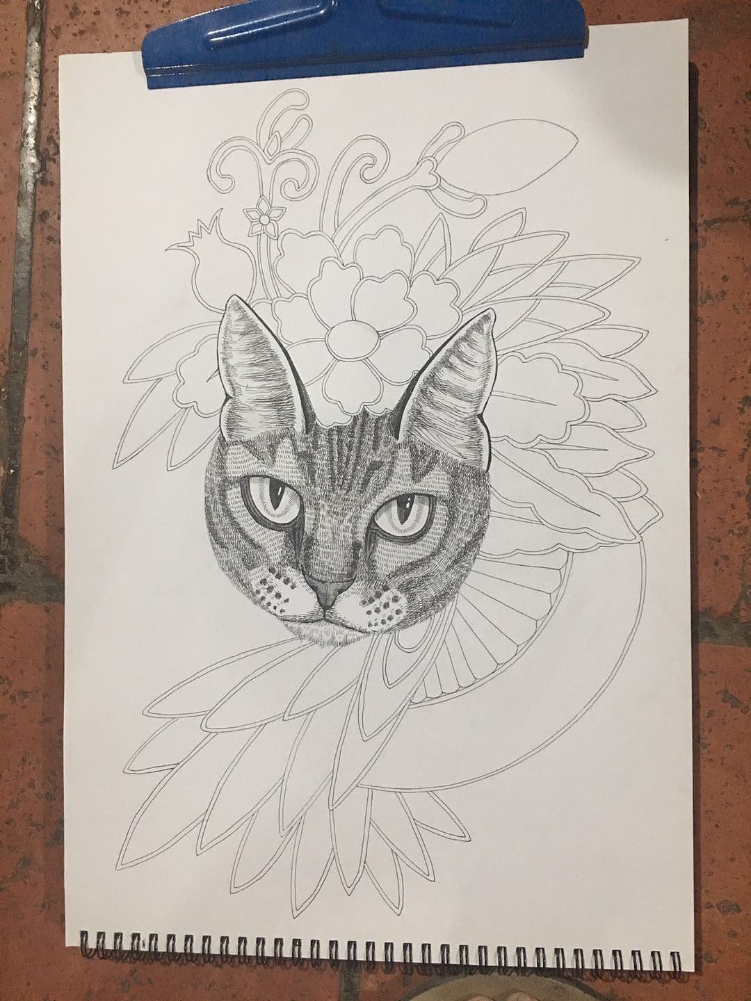 我画的【猫头与花】（图ZMjMwNzE3NzA4） - 绘画 - 站酷设计师6黄柱成9原创素材 - 站酷ZCOOL