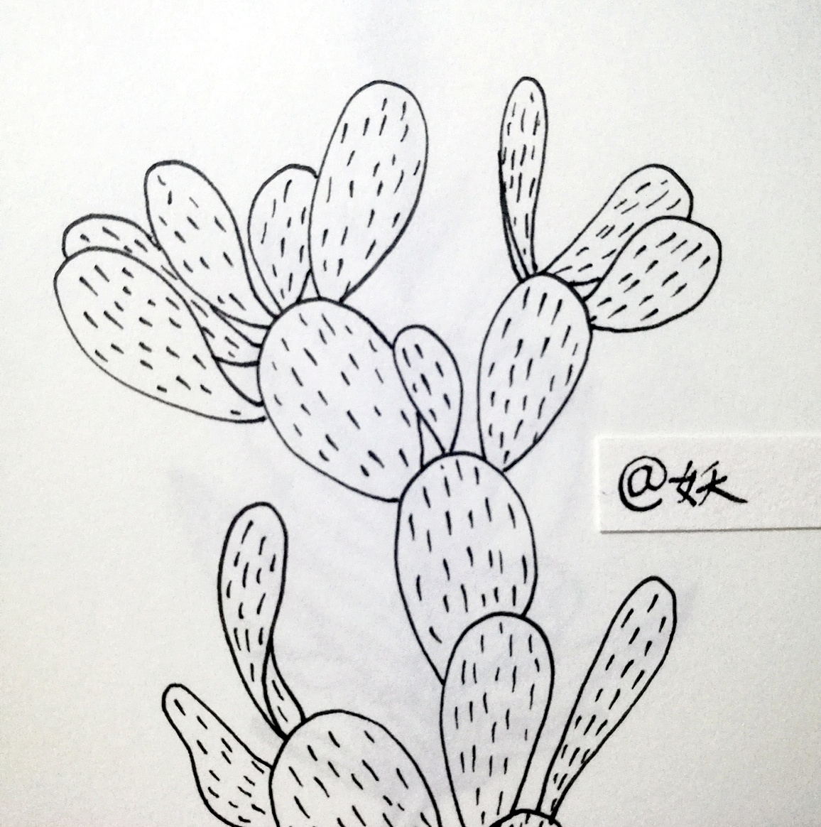 勾线笔画的简单植物画图片
