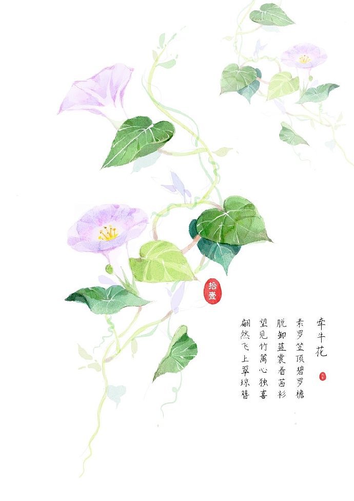 procreate | iPad水彩古风花卉