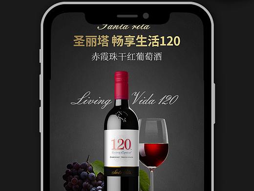 圣丽塔120红酒详情页
