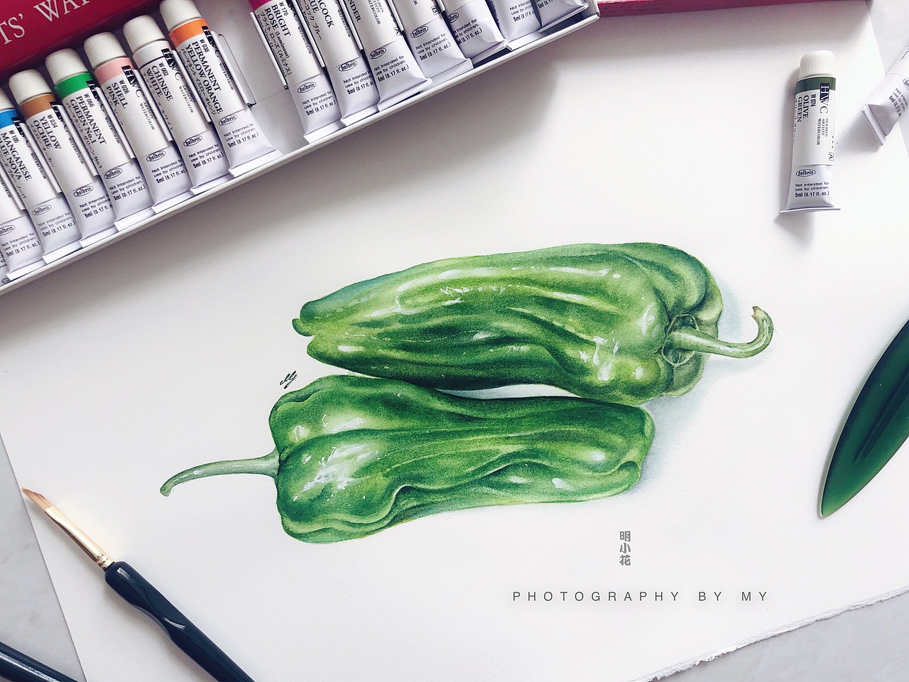 水彩果蔬丨是麻椒呀丨附全过程图